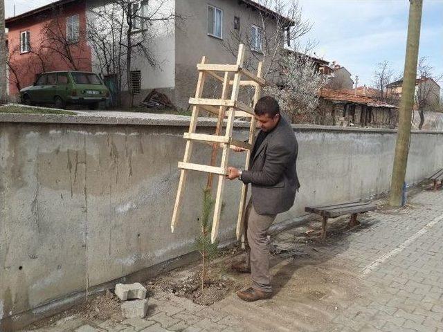 Şehitler Ortaokulu Bahçesine Fidan Dikildi