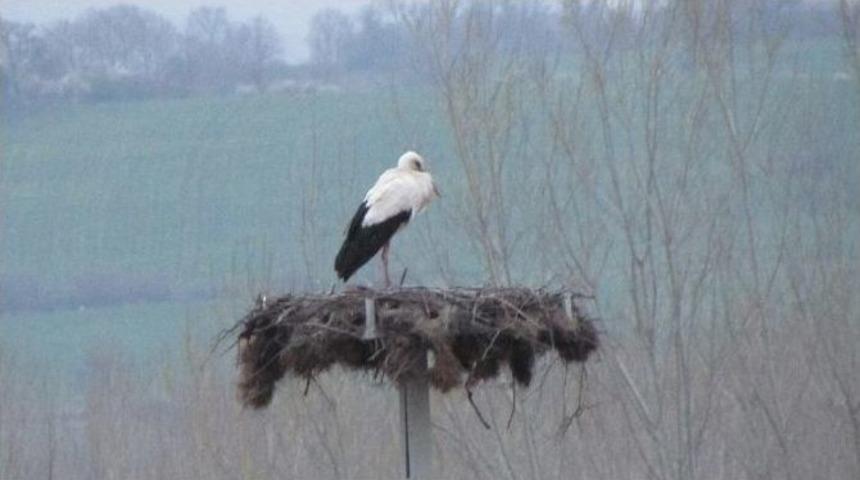 &Ccedil;an&rsquo;da K&ouml;yl&uuml;ler Tarafından Yapılan Yuvaya İlk Leylek Geldi