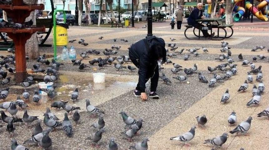 Parkta G&uuml;vercin Besleyerek Stres Atıyorlar