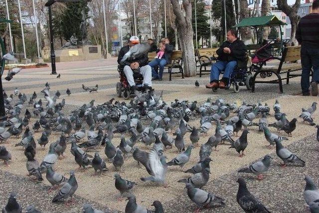 Parkta Güvercin Besleyerek Stres Atıyorlar