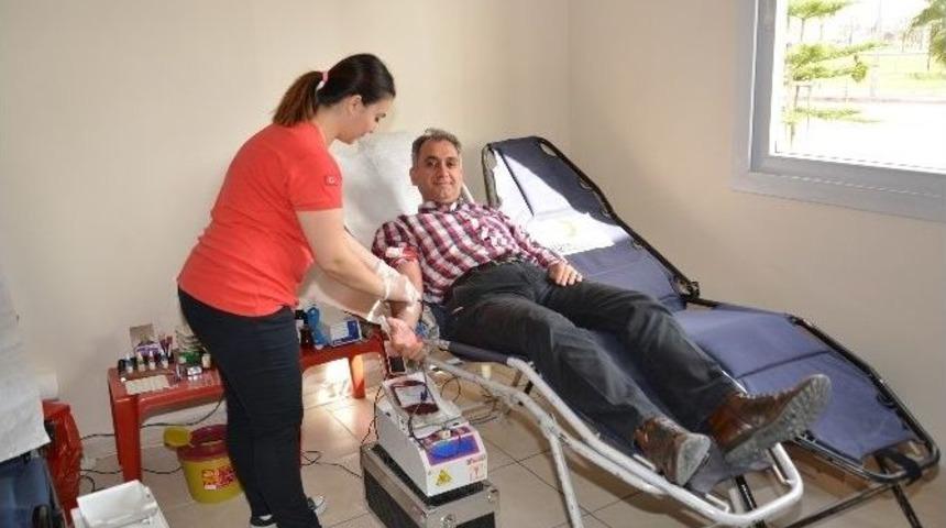 Abt&uuml; Kan Verdi, Can Verdi