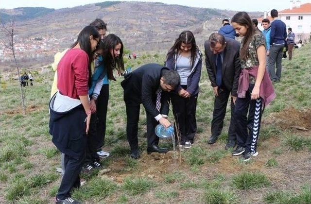 ’benim Okulum, Benim Fidanım’ Projesi