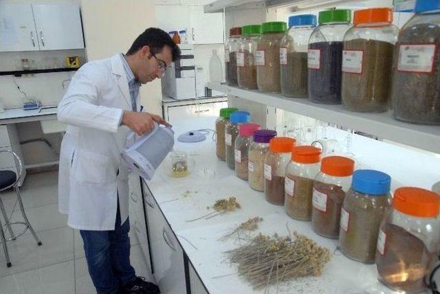 (&ouml;zel Haber) &Uuml;n&uuml; &Uuml;lkeyi Aşan Profes&ouml;rden Kanser Tedavisinde Umutlandıran Buluş 1