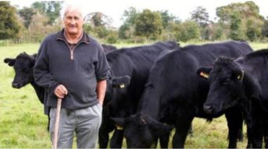 K&uuml;tahya&rsquo;da Sığır Sayısı 171 Bin 141, Manda Sayısı Da 2 Bin 965