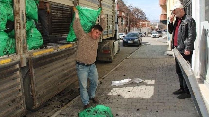 Oltu&rsquo;nun Herk&uuml;lleri