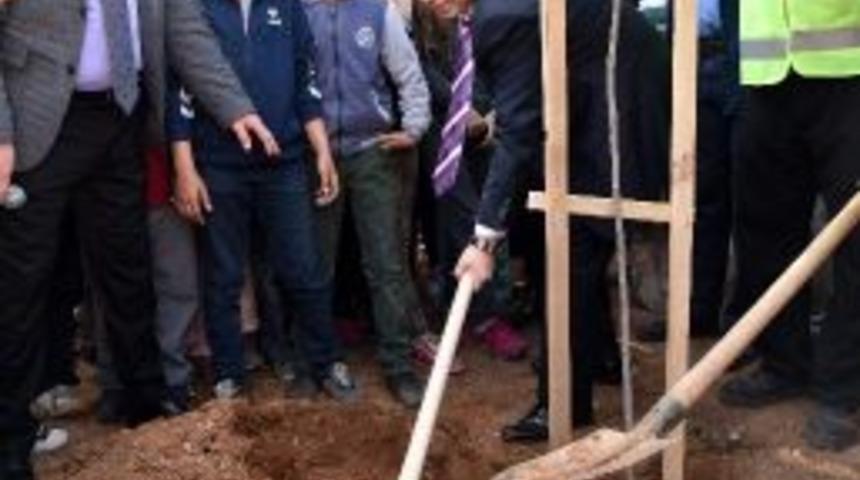 &Ccedil;ocuk Meclisi Kararı, İlk Fidanla Start Aldı