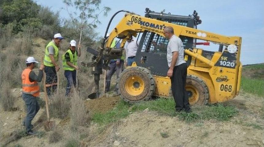 Ceyhan-sarımazı Yolunda &Ccedil;ift Taraflı Ağa&ccedil;landırma &Ccedil;alışması