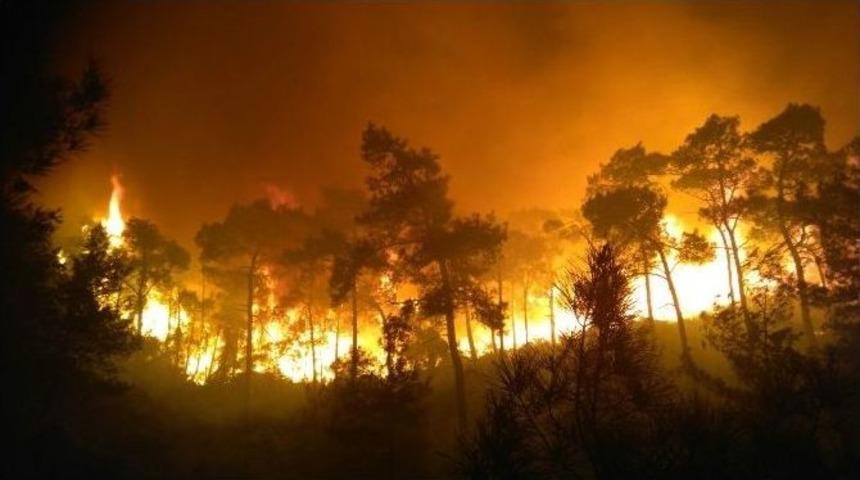 (&ouml;zel Haber) Orman İş&ccedil;isinin Alevlere Karşı &Ccedil;aresizliği