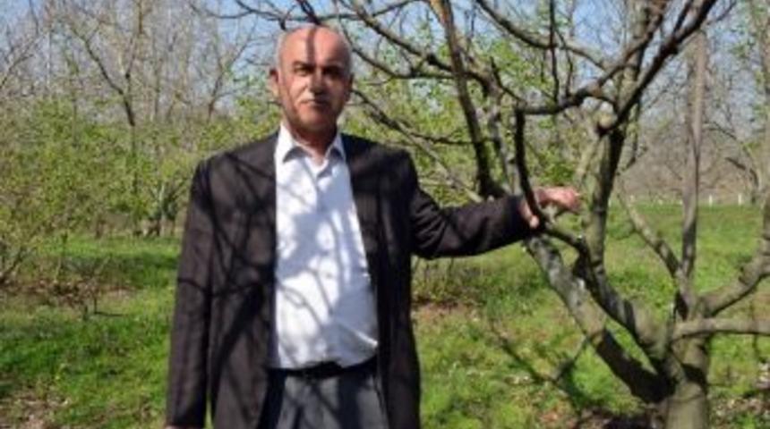 Bafra&rsquo;da Toprak Analiz Laboratuvarı A&ccedil;ılıyor