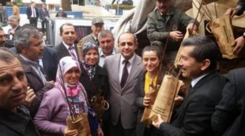 Kiraz&rsquo;da Kestane &Uuml;reticilerine Ekipman Ve Fidan Desteği