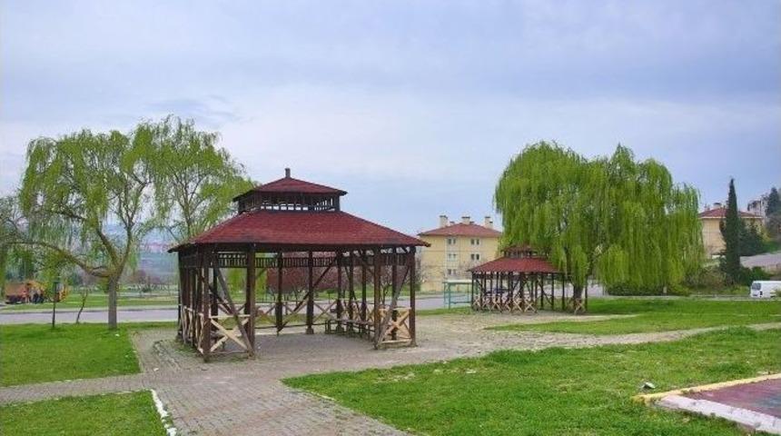 Adapazarı Belediyesi Kamelyaları Yeniliyor