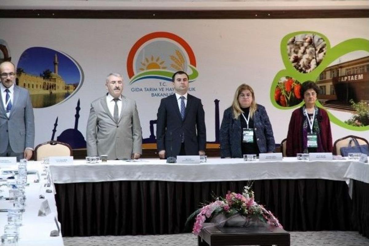 Şanlıurfa&rsquo;da Tarım İş&ccedil;ilerinin Kamu Hizmeti Alma Sorunu Tartışıldı