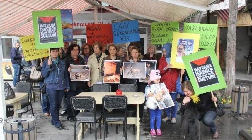 Kozcağız’daki Köpek Katliamına Hayvanseverlerden Tepki