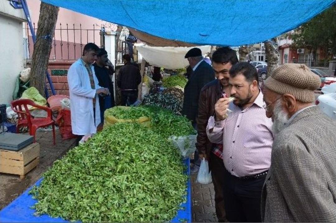 Baharın M&uuml;jdecisi Bitkiler Pazara İndi