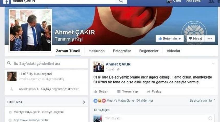 Belediye &Ouml;n&uuml;ne İncir Ağacı Diken Chp&rsquo;lilere Esprili G&ouml;nderme