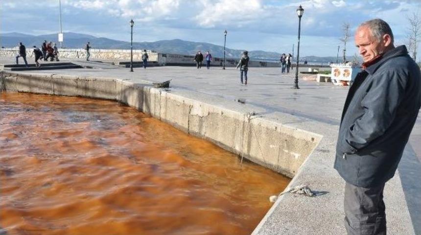 Bandırma&rsquo;da Deniz Kızıla B&uuml;r&uuml;nd&uuml;