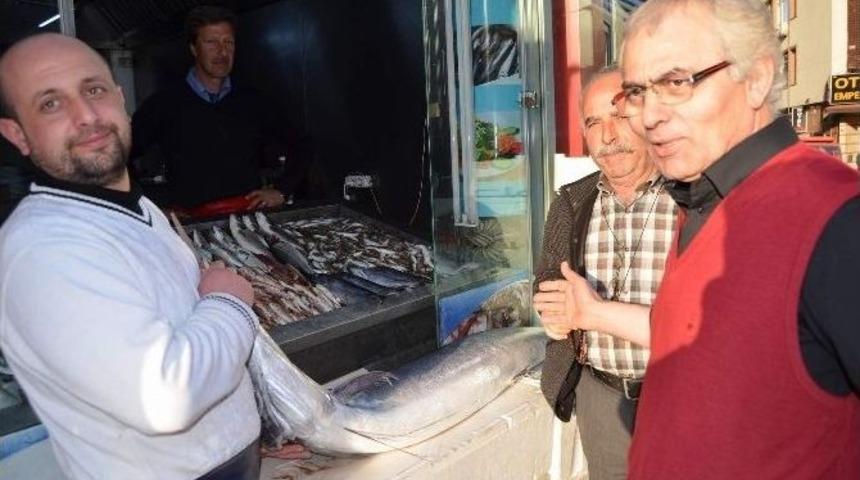 Balık&ccedil;ı Tezgahındaki Kılı&ccedil; Balığı İlgi Odağı Oldu