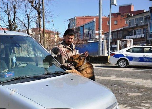 (özel Haber) Bomba Uzmanı Aleks Görev Başında