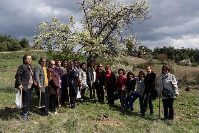 İki Bin Badem Fidanı Toprakla Buluştu