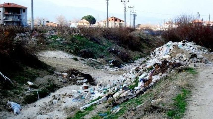 &Uuml;z&uuml;m &Uuml;reticilerini Tedirgin Eden Manzara