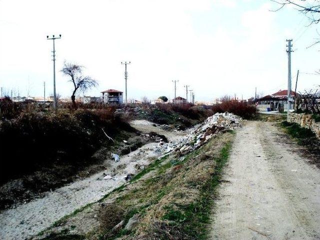 &Uuml;z&uuml;m &Uuml;reticilerini Tedirgin Eden Manzara 1