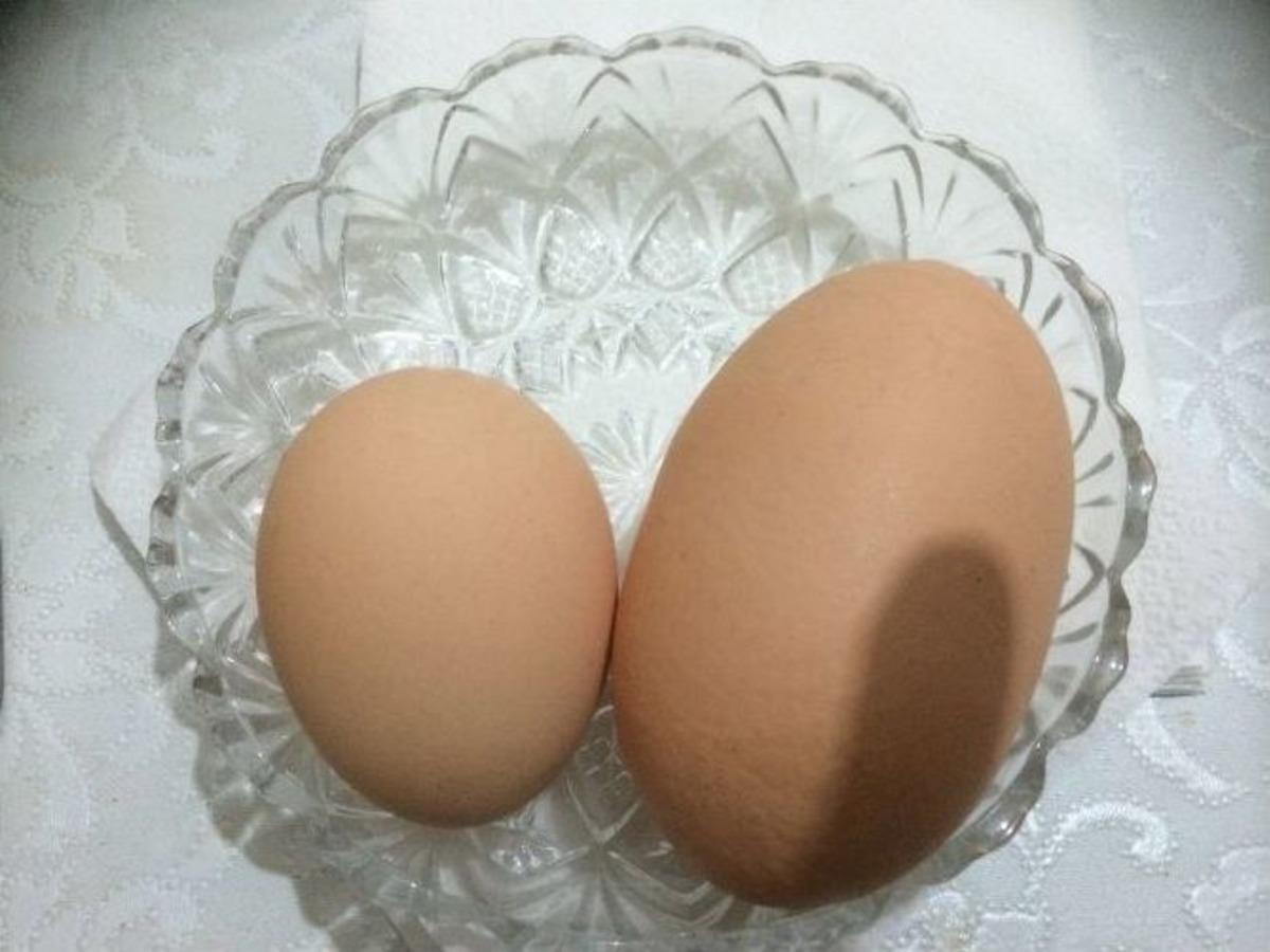 G&ouml;renleri Hayrete D&uuml;ş&uuml;r&uuml;yor