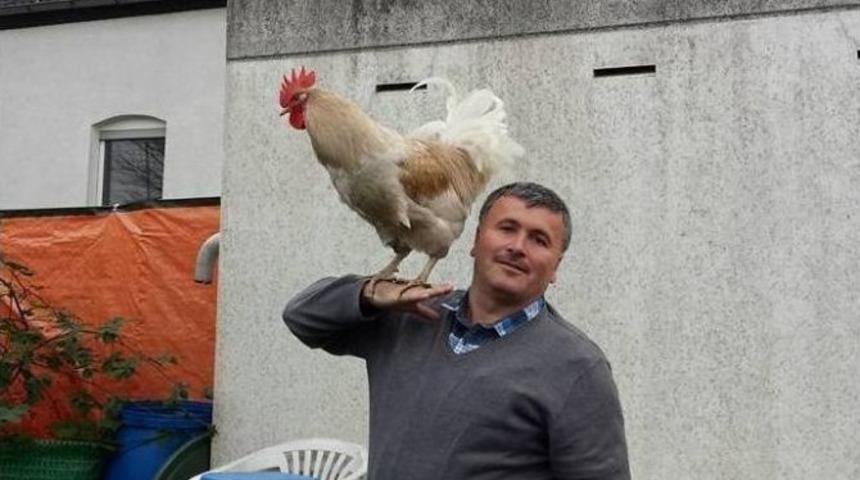 (&ouml;zel Haber) &Ccedil;ok Sevdiği Horozlarına Cumhurbaşkanı&rsquo;nın Adını Koydu