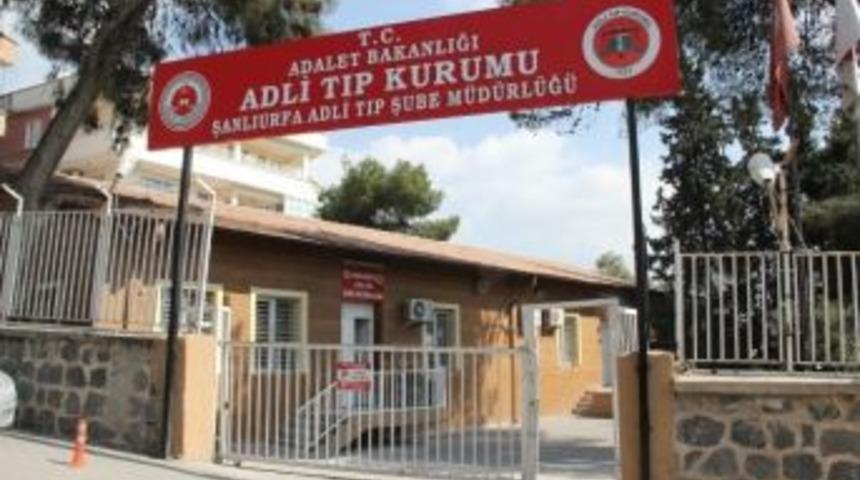 Suriye Sınırında Etkisiz Hale Getirilen 10 Pkk&rsquo;lı Şanlıurfa&rsquo;ya Getirildi
