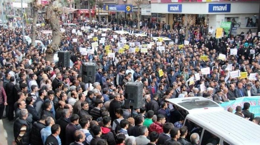 Diyarbakır&rsquo;da 8 Mart Karikat&uuml;r&uuml;ne Tepki