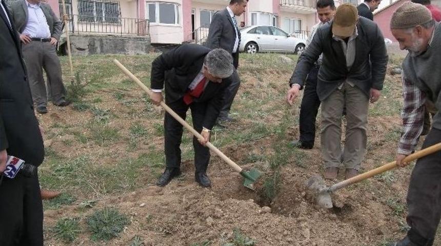 Sorgun&rsquo;da Ağa&ccedil;landırma &Ccedil;alışmalarına Hız Verildi