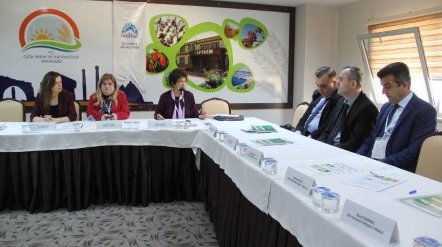 Eyy&uuml;biye Belediyesi Mevsimlik Tarım İş&ccedil;ilerine Sahip &Ccedil;ıkıyor