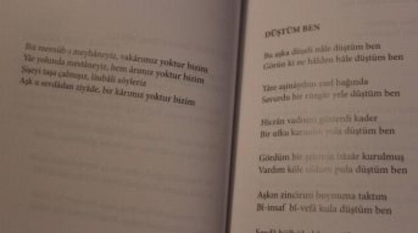 Vali Şent&uuml;rk&rsquo;&uuml;n Şiir Kitabı, Z&uuml;lf-i Siyahım &Ccedil;ıktı