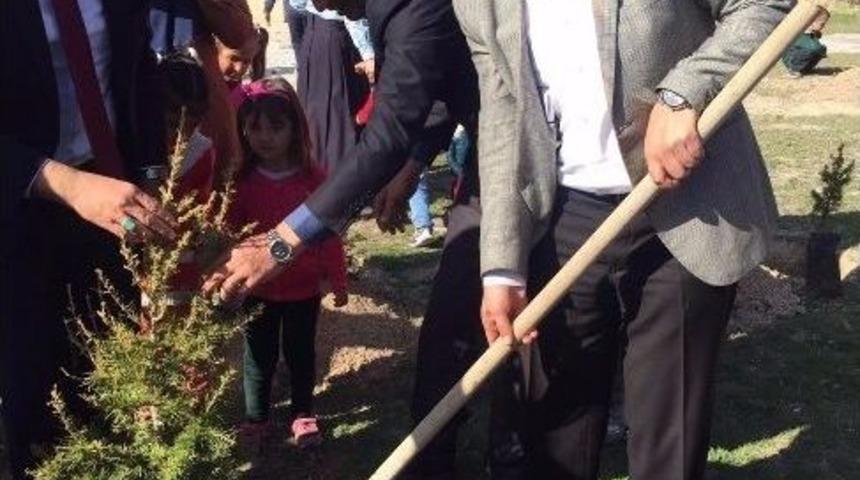 Aksaray&rsquo;da 25 Bin Fidan Toprakla Buluşturuldu