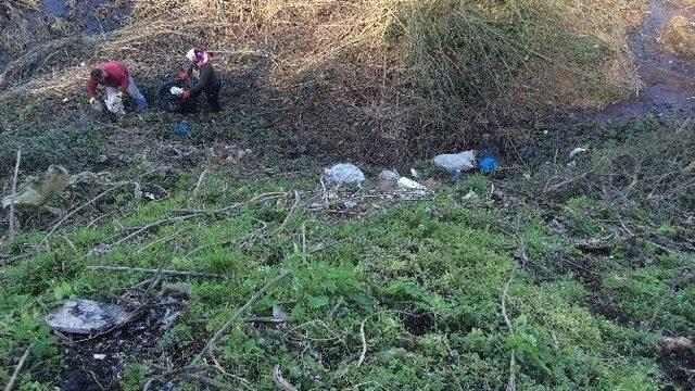 Vali Fidan Talimat Verdi Temizlendi