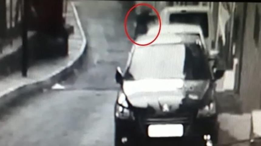 Bonzaiden Ölen Arkadaşının Cesedini Yol Ortasında Sürükledi