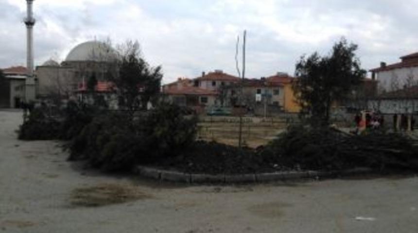 Ağa&ccedil;landırma &Ccedil;alışmaları Devam Ediyor