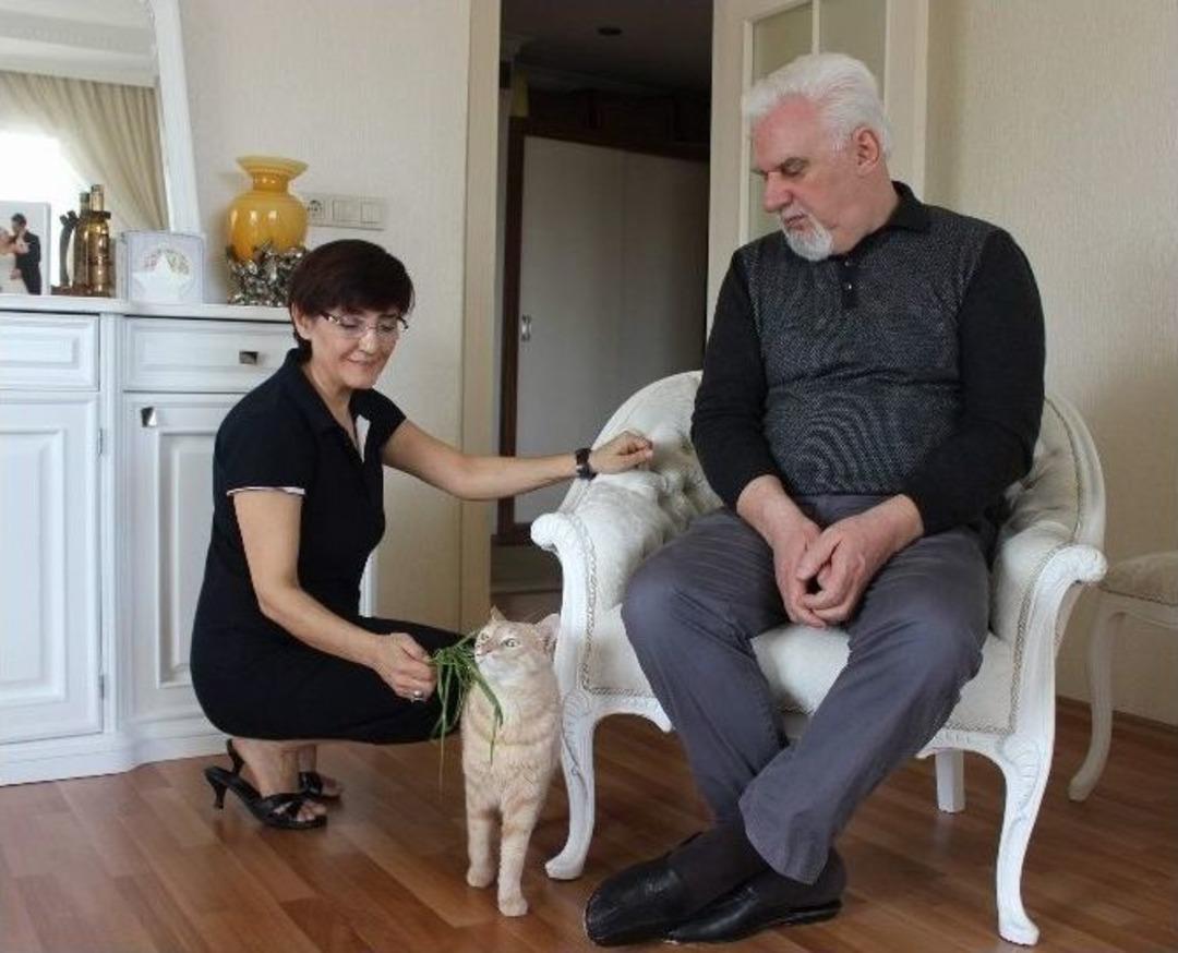 (&ouml;zel Haber) Kedileri İ&ccedil;in Evlerini Terk Edecekler