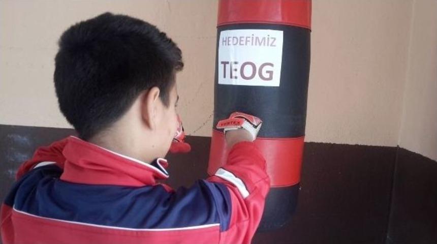 Her Şey Teog&rsquo;da Başarı İ&ccedil;in