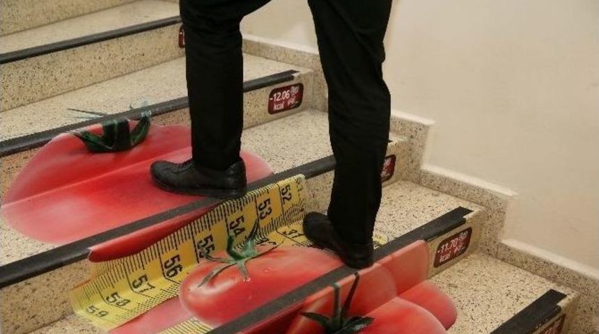 Kalorimatik Merdivenlerle Sağlıklı Kalıyorlar