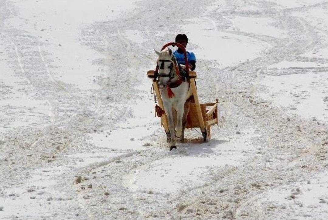 Paland&ouml;ken&rsquo;de Atlık Kızak Yarışı