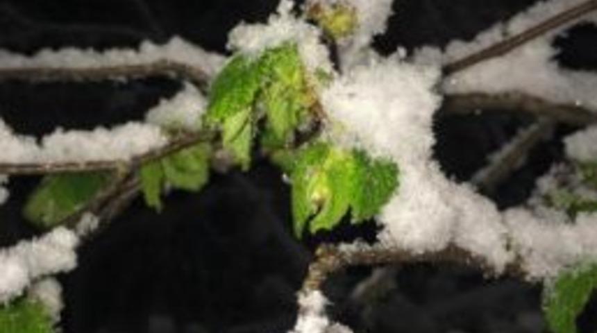 Ufk: "&uuml;r&uuml;n Sigortası Rekabete A&ccedil;ılmalı&rdquo;