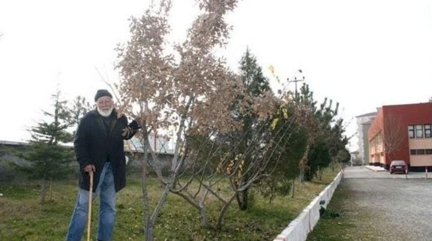 &Ccedil;akır Dede Hayatını Kaybetti