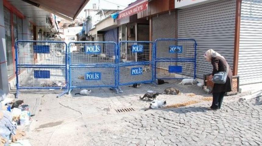 Sur&rsquo;da Hayat Normalleşiyor