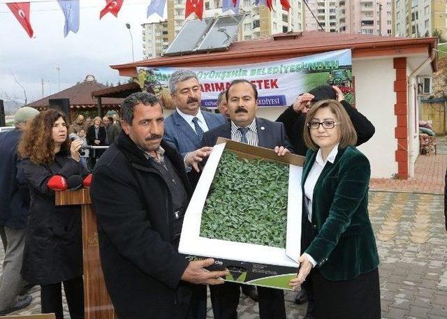 Gaziantep’te Tarımda Kalkınma Hamlesi