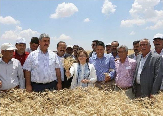 Gaziantep’te Tarımda Kalkınma Hamlesi