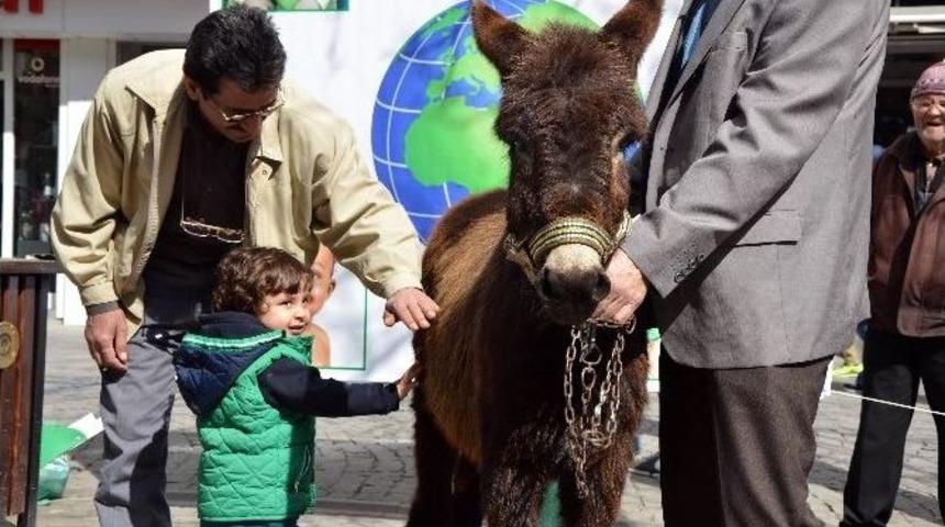 Şehir Merkezinde "eşekli" Protesto