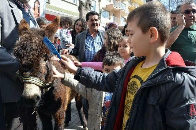 Şehir Merkezinde 