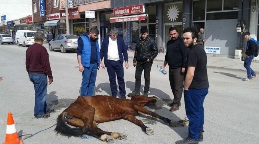 Sahibinin Terk Ettiği Ata Vatandaşlar Sahip &Ccedil;ıktı