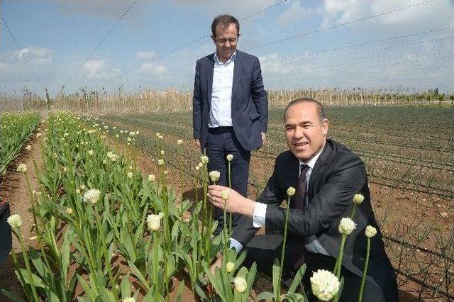 Şimdi Hasat Zamanı 1