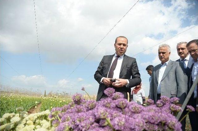 Şimdi Hasat Zamanı 2